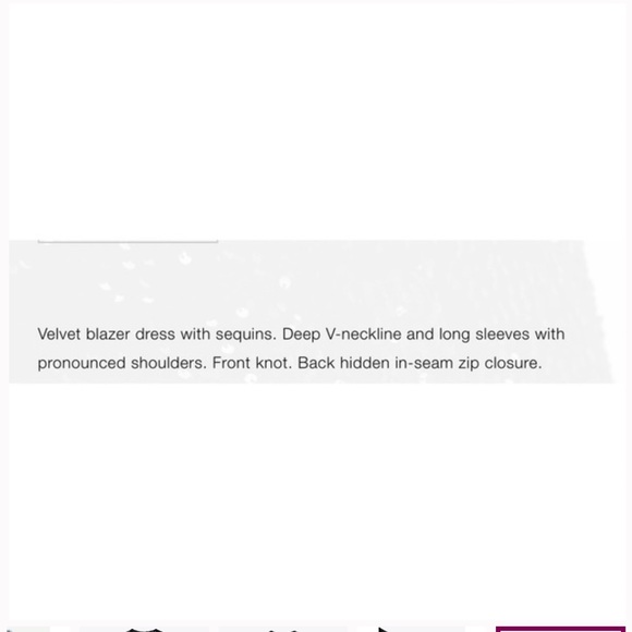 NWT BLOGGERS FAVORITE ZARA SEQUIN BLAZER DRESS - Picture 10 of 10